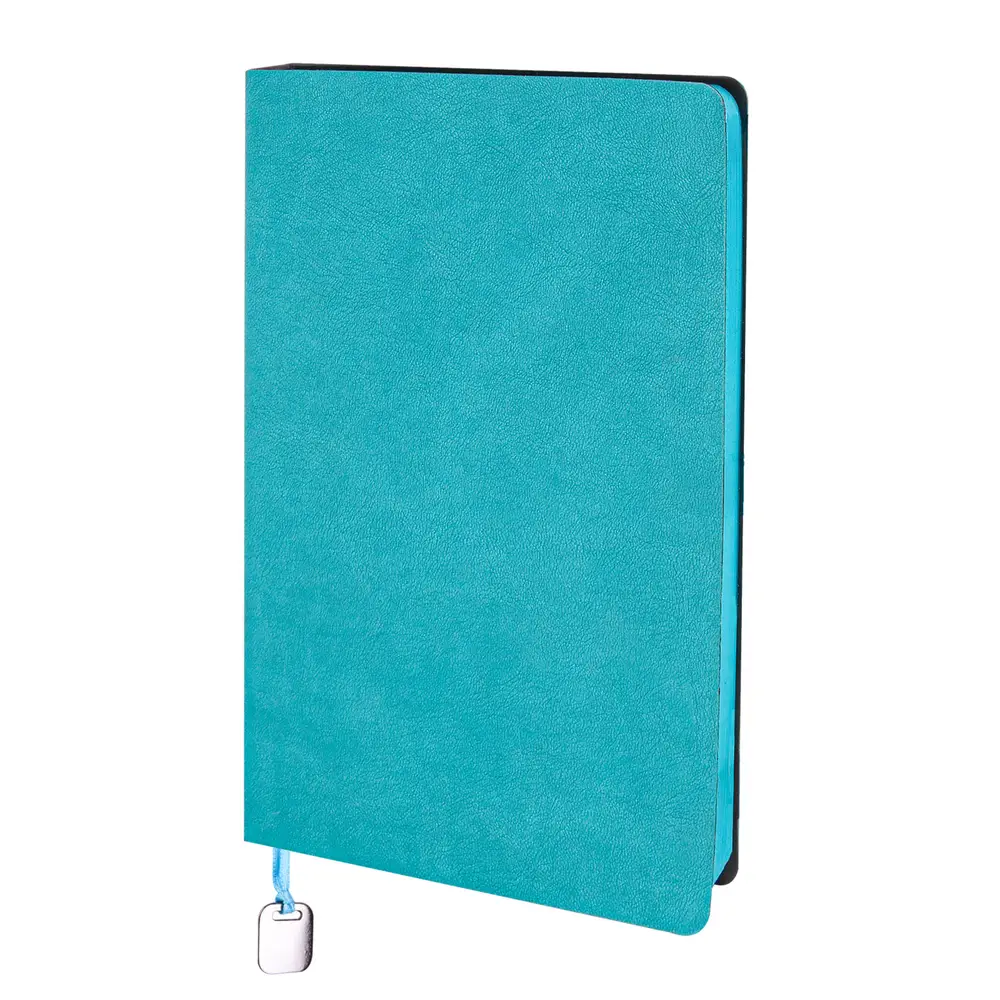 Maltepe Tarihsiz Defter (13 x 21 cm) ny302523