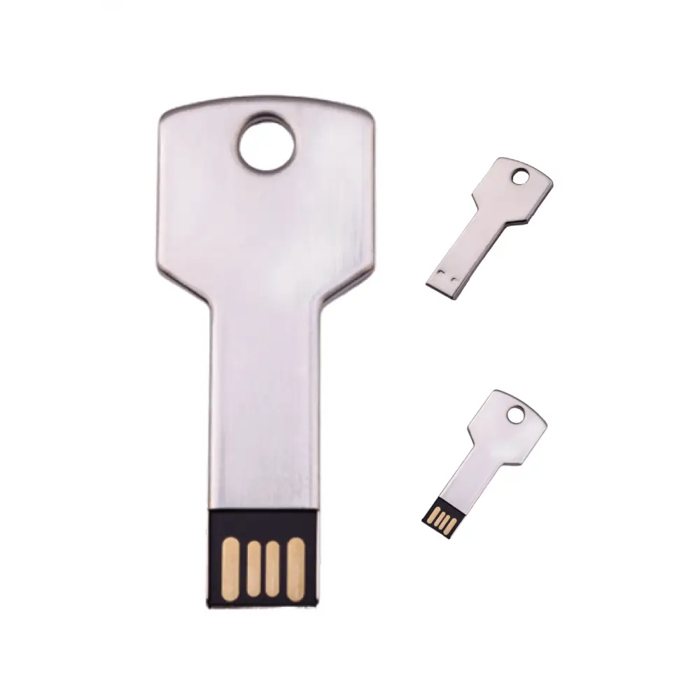 Anahtar USB Bellek pp1650